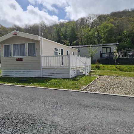 The Tiddler - Plot 101, Woodlands Lodge Retreat, New Quay, West Wales Llanina Exteriér fotografie
